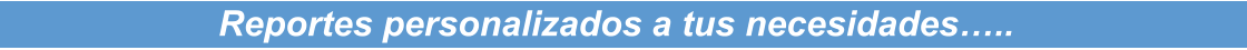 Reportes personalizados a tus necesidades…..